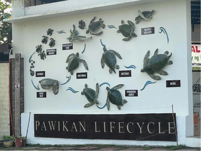 Pawikan Conservation Center, Bataan